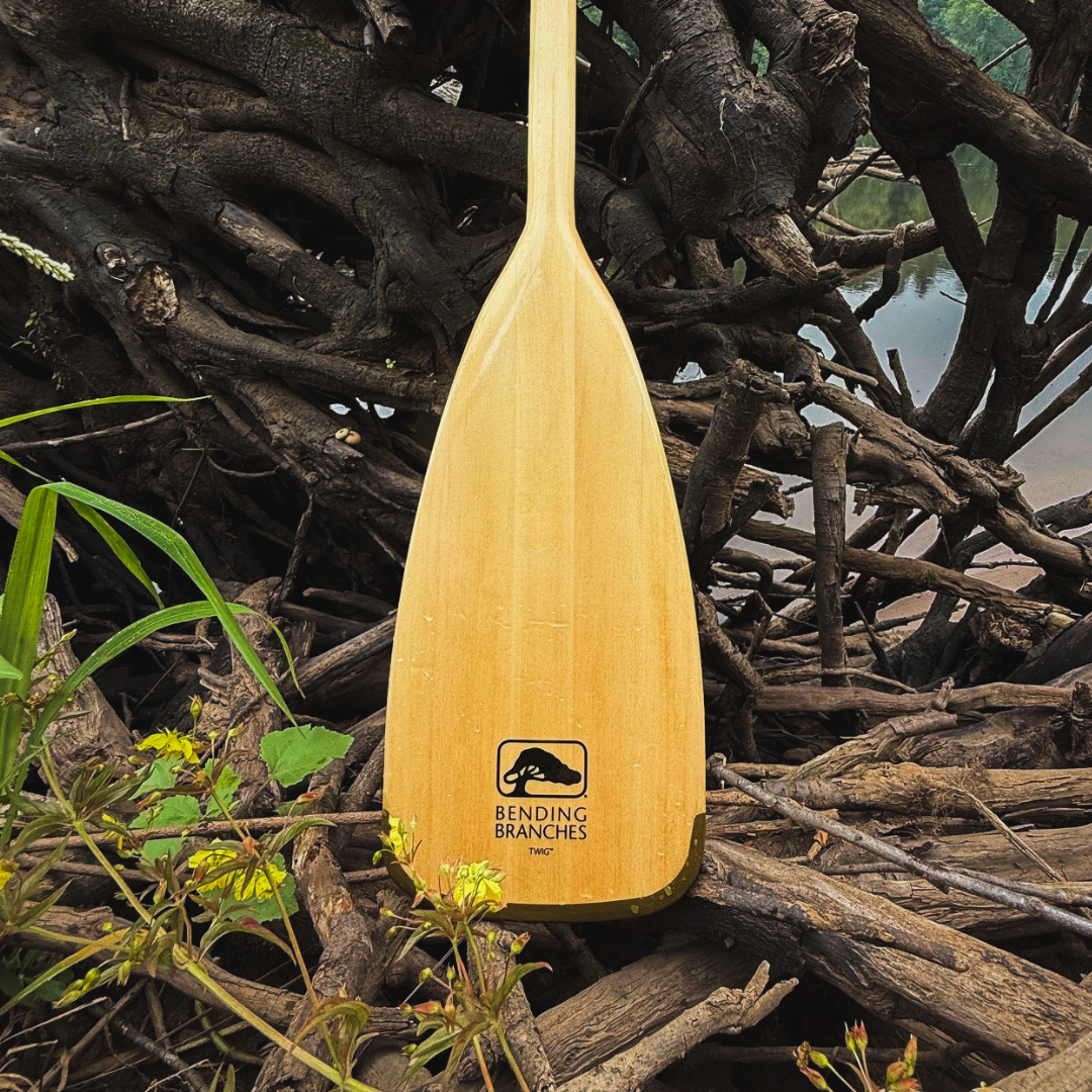 Twig (Kids)